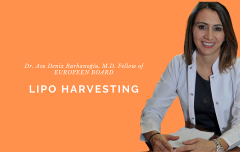 dr-asu-lipo-harvesting